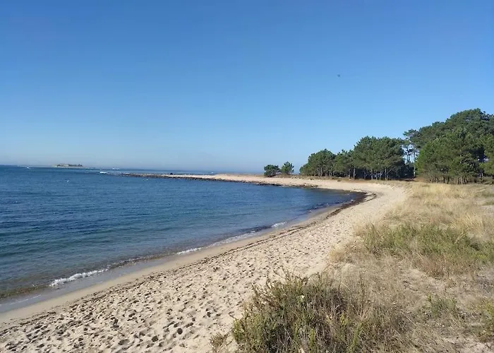 Camino De La Costa *